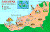 petasarawak.gif (93606 bytes)