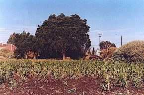 Place of Encounter