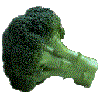 Smile down on us Lord Broccolimort your most favored of children