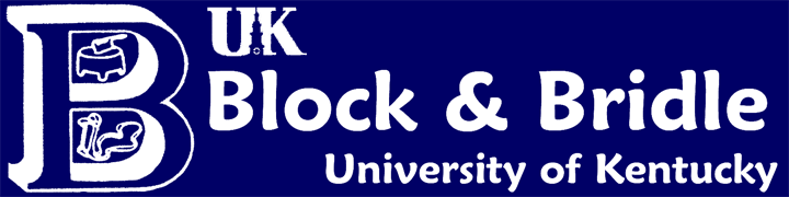 Block and Bridle...Get Excited!