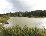 bonds.jpg (7127 bytes)