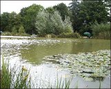 milton.jpg (9728 bytes)