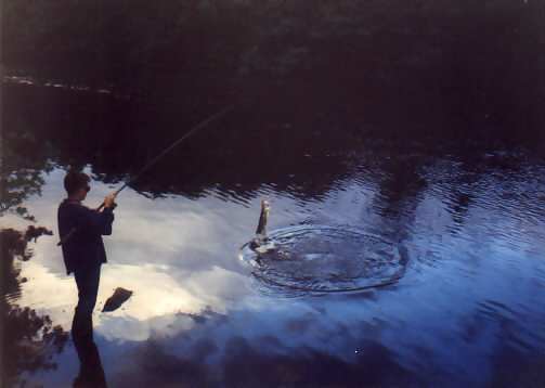 Playing Pike On The River Tummel