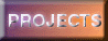 Project Page