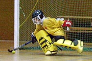 Timmi der Held