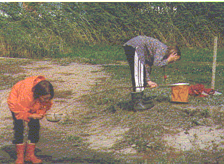 lam2.gif (34975 bytes)