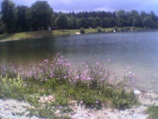 Baggersee Pfuhl