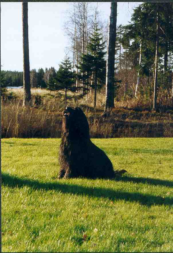 Hm, hur l�ser jag det h�r...