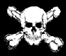 tinyskull.gif (1024 bytes)