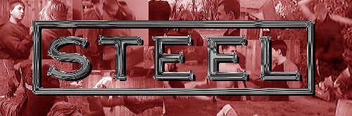 Steel