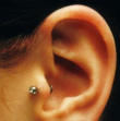 tragus