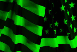 flag.jpg (17213 bytes)