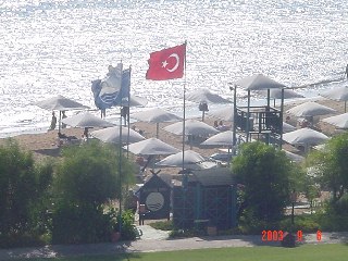 [Side-TR-2003]