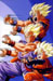 dragon ball z DBZ 