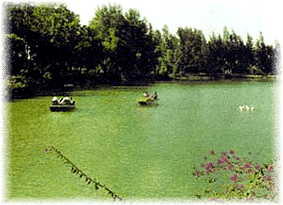 Vanganga lake, Dadra
