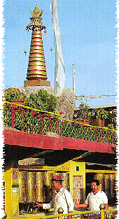 Buddhist temple in Dharmasala