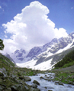  Jammu & Kashmir