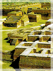 The ruins of Nalanda University