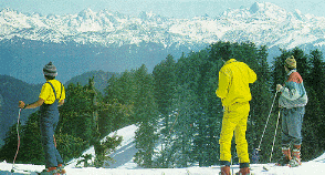 skiers