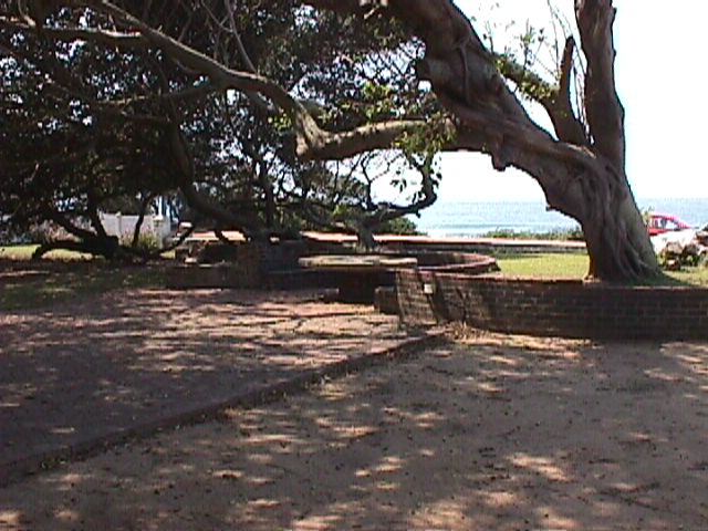 9 s beach view.jpg (69356 bytes)