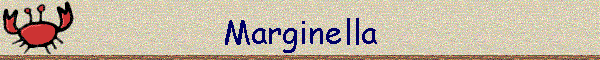 Marginella