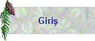 Giri