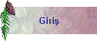 Giriş