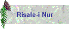 Risale-i Nur