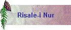 Risale-i Nur