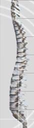 side.gif (9340 bytes)