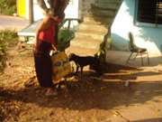 Recibiendo alimento para su perrito