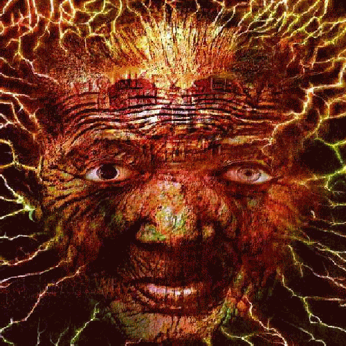 Monkey See Monkey Do