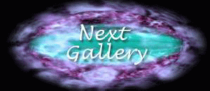 Click here to go to next gallery