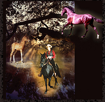 Unbridled Visions photo collage