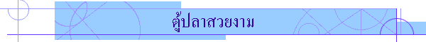 ตู้ปลาสวยงาม