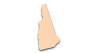 New Hampshire