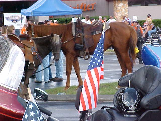 Here's looking at you kid!