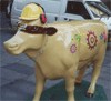 cows