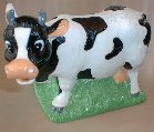 cows