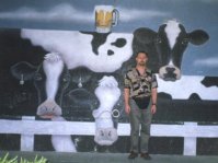cows
