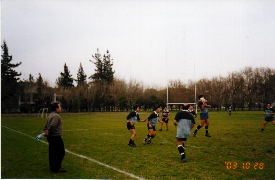 EstadioMarista03.jpg (60127 bytes)