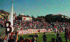 Tifosi