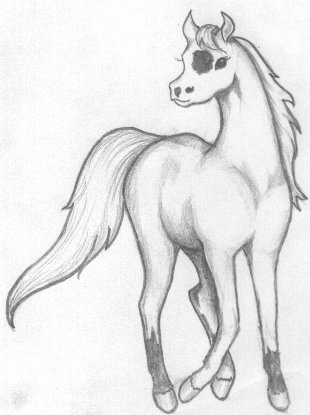 Filly