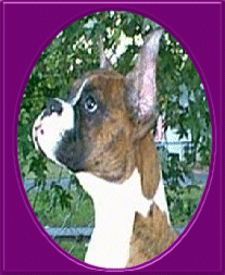 Talley 4 months