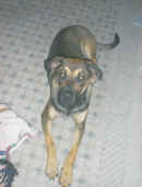 Katie