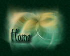 Go Home