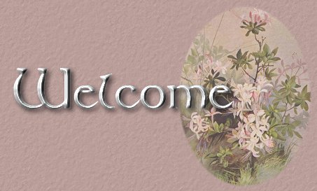 Welcome to What's NEW!