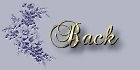 Go to previous page