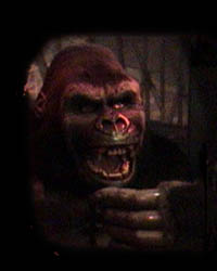 KONG's Picture booth