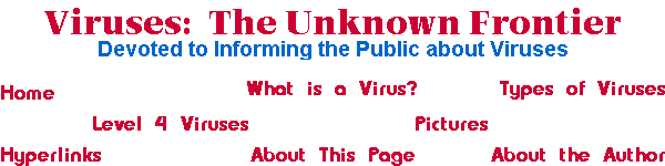 Viruses: The Unknown Frontier